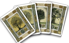 Other oracles