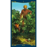 Tarot der keltischen Feen