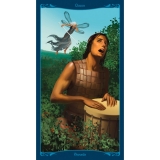 Tarot der keltischen Feen