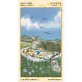 Tarot der magischen Katzen