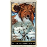 Wise Dog Tarot