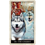 Wise Dog Tarot