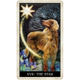 Wise Dog Tarot