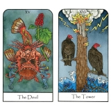 Nature Spirit Tarot (Set)