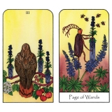 Nature Spirit Tarot (Set)