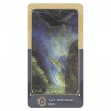 B-Ware Ring Cycle Tarot